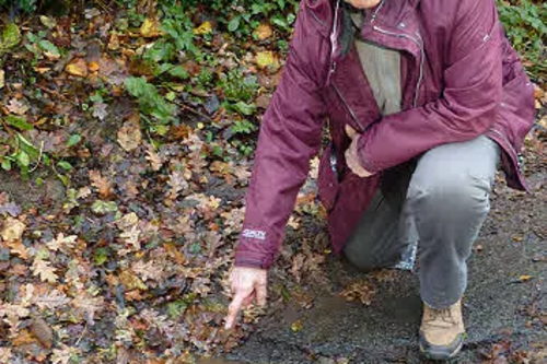 Cllr Gill Moseley points out a pothole that urgently needs repair by Gloucestershire County Council