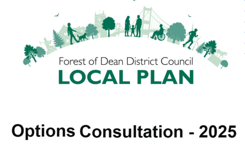 Logo for local plan consultation